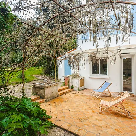 Maison Centre Village Et Foret * Saint-Trojan-les-Bains